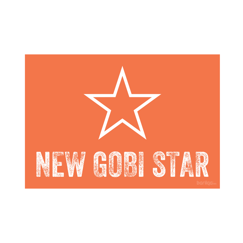 New Gobi Star LLC