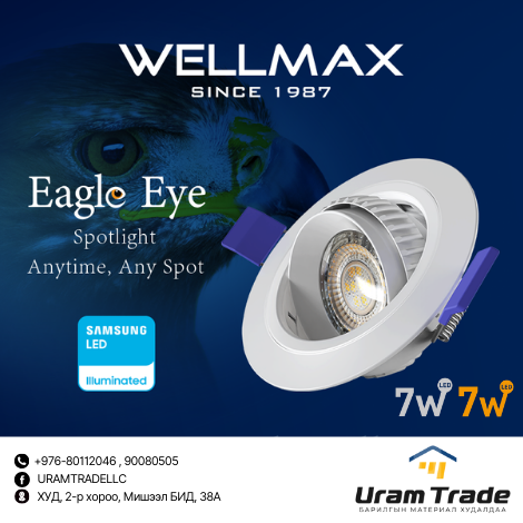 WELLMAX - EAGLE EYE нүдэн гэрэл 7w