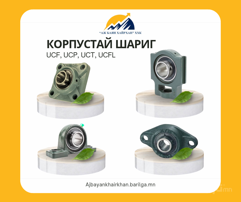 Корпустай шариг