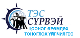 Тэс сүрвэй ХХК