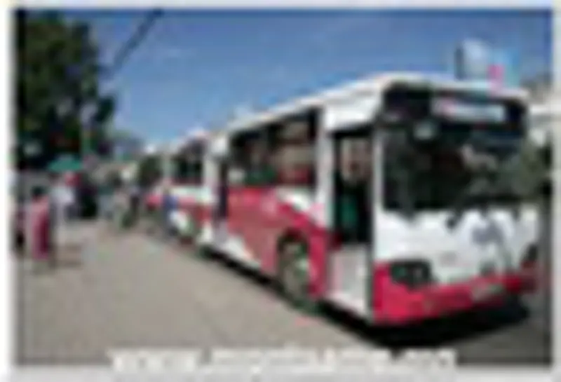 Автобусны 31 чиглэлийг өөрчилж, троллейбусыг зогсоолоо
