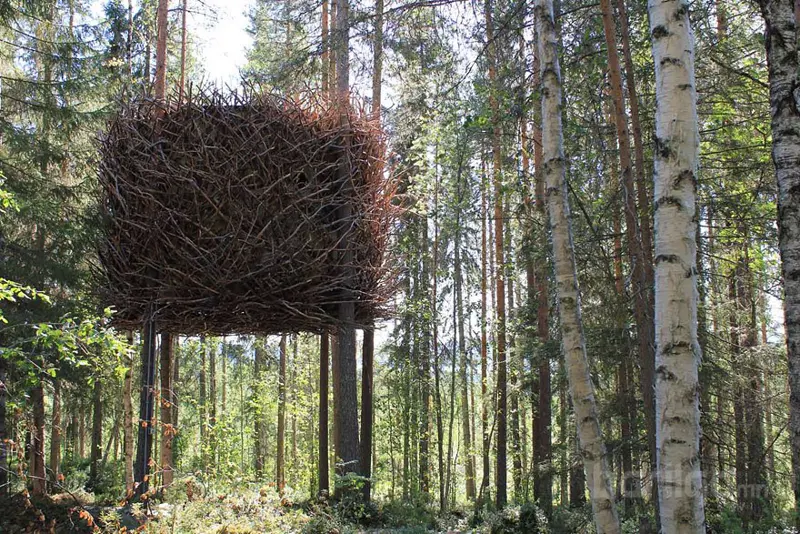 Хамгийн өвөрмөц зочид буудал, ресторанууд