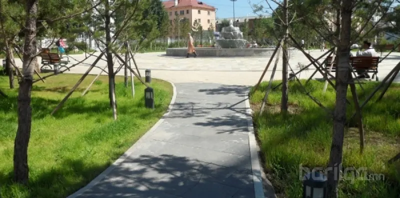 Нийслэл хот цэцэгсээр төдийгүй мододоор гоёно