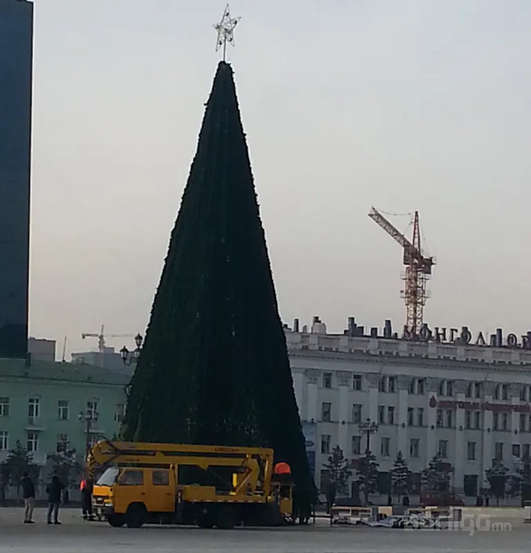 Төв талбай сүлд модоо засаж байна