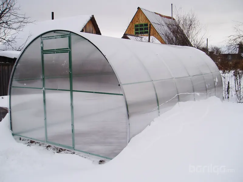 Өвлийн ​улиралд дулаан хүлэмж барих аргууд