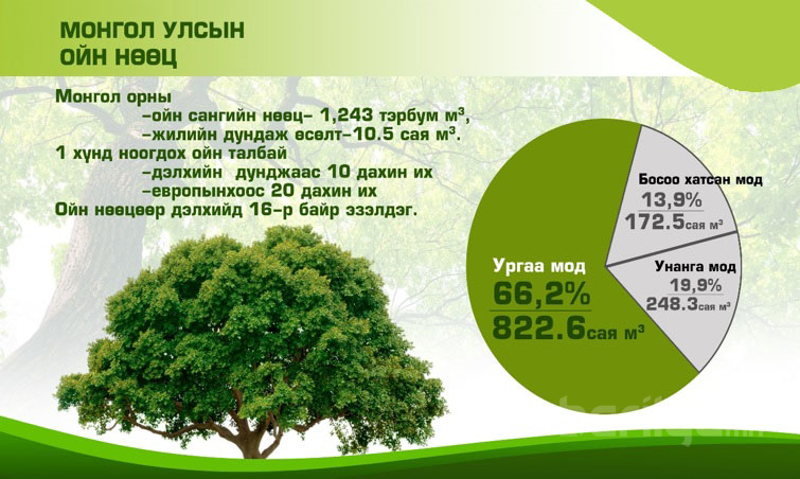 Мод модон материалын импортын зах зээлийн судалгаа