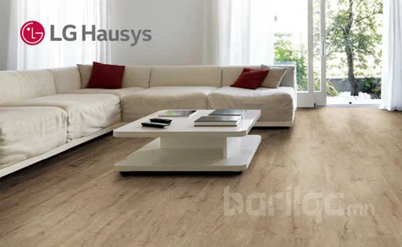 LG haysus