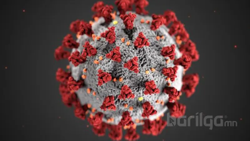 Коронавируст халдварын талаарх мэдээлэл, зөвлөгөө авах тусгай дугаарууд