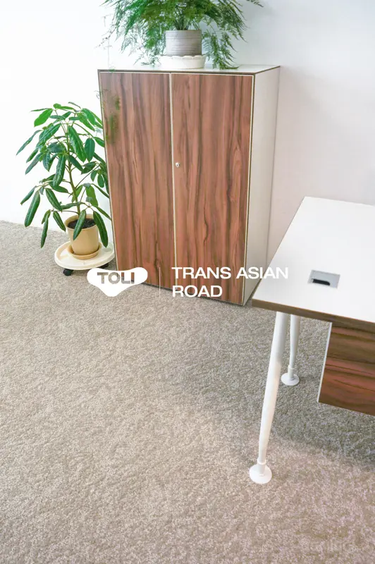 ХАМТРАН АЖИЛЛАСАН ТӨСӨЛ | TRANS ASIAN ROAD LLC