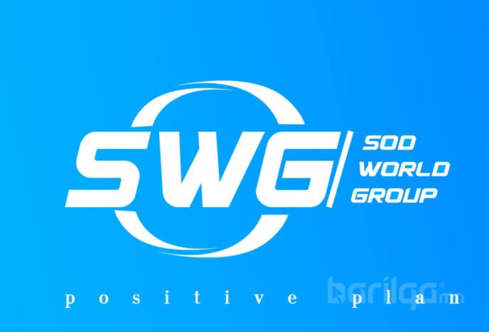 СОД ДЭЛХИЙ ГРУПП logo