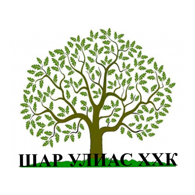 Шар улиас ХХК logo