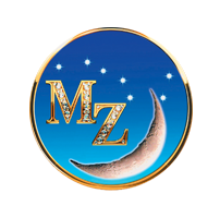 МИНЖЗАНД ХХК лого