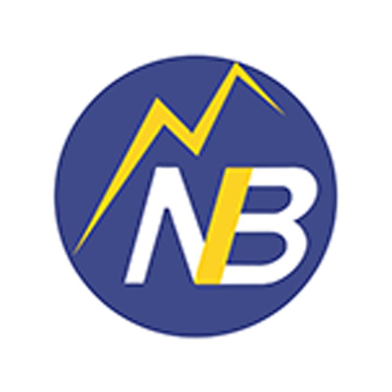 Нутгийн Буян Групп logo