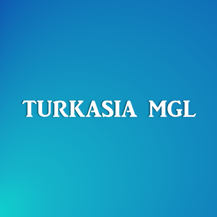 Турк Азиа МГЛ ХХК logo