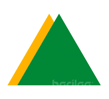 ХЬЁНДЭ ЭЛЕВАТОР МОНГОЛ ХХК logo