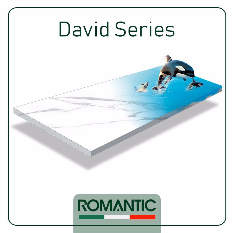 David Series 600x1200мм